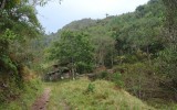 dsc07217