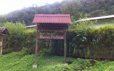 la foto 4 (2)