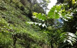 la foto (4)