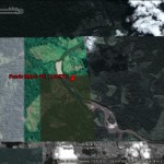 Google Earth PE 11005741