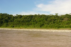 PE 11004442_2