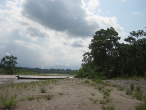 PE 11004442_5
