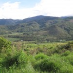 daniel revolle vista de la finca hbba