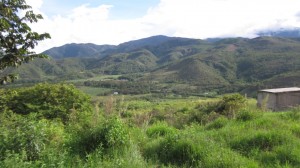 daniel revolle vista de la finca hbba