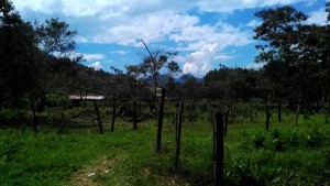 IMG-20160103-WA0001