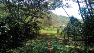 IMG-20160103-WA0003