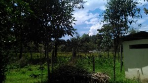 IMG-20160103-WA0005