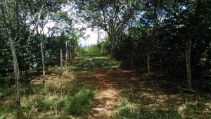 IMG-20160103-WA0007