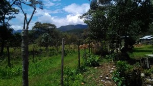 IMG-20160103-WA0010