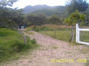 SAMSUNG DIGIMAX D530