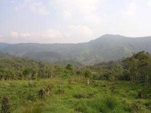 San roque 2123