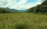 Sanroque2584