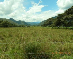 Sanroque2584