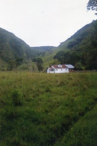 img007