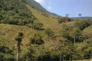 img009