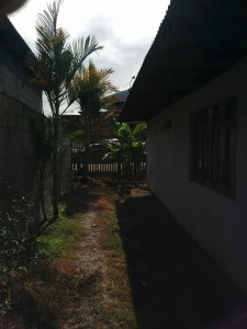 casa Gustavson1