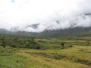 Lote lolo2