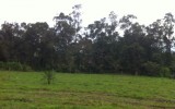 lote Chino Ballesterosref3