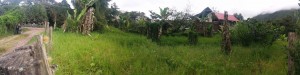 lote cata5 - copia