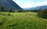 lote lolo5