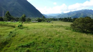 lote lolo5