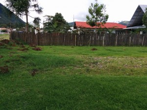 lote monica2