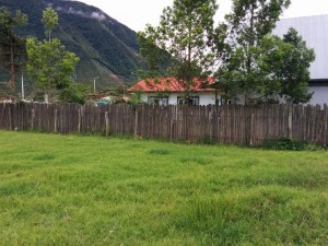 lote monica5