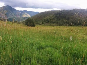 Predio Fernado Pozo3}