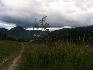 Predio Fernado Pozo4