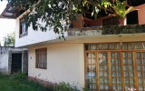 casa dora m 8