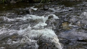 IMG-20170714-WA0007