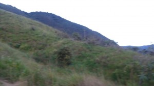 IMG-20170714-WA0008