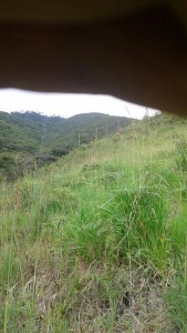 IMG-20170714-WA0009