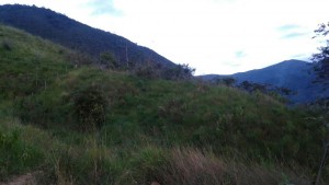 IMG-20170714-WA0010